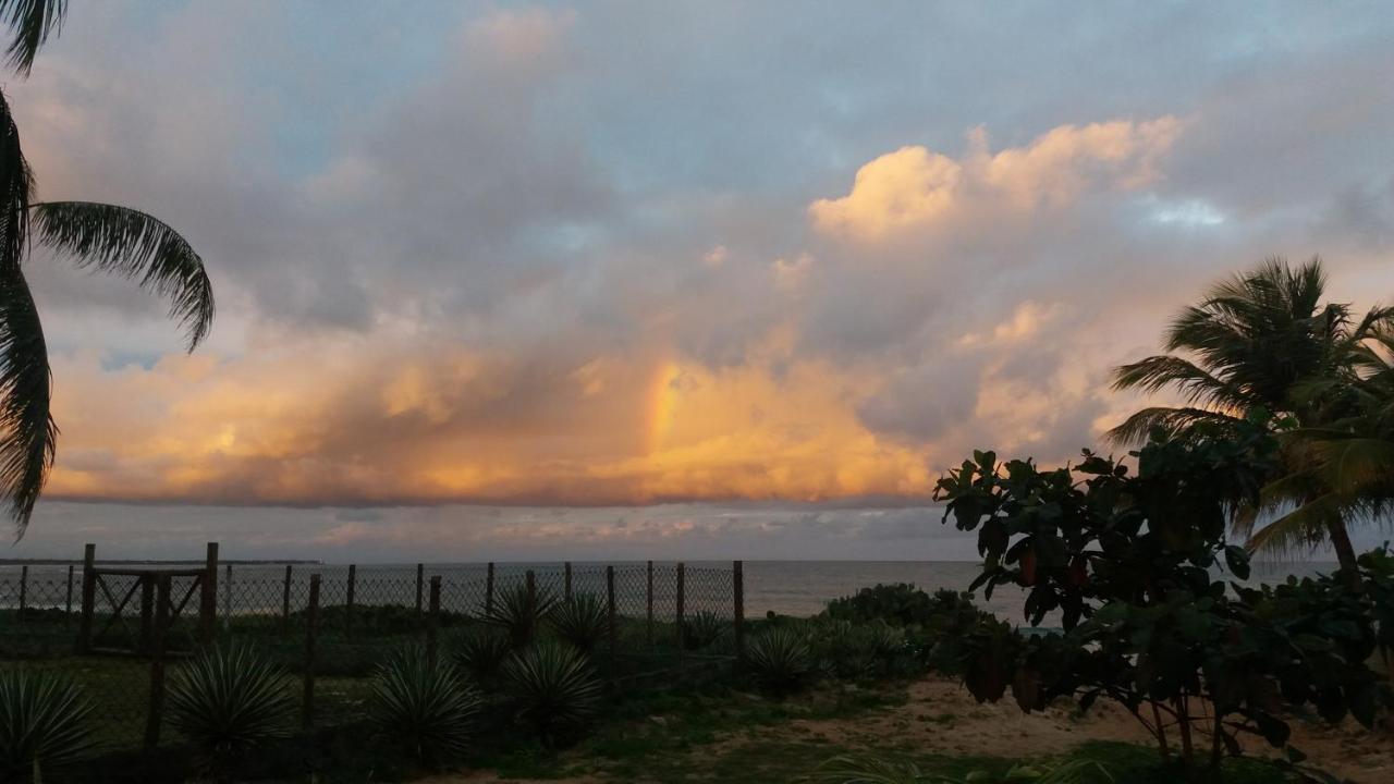 Bungalow frente a Praia Itacimirim Bagian luar foto